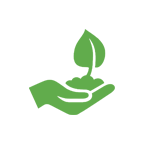 Compostable Film